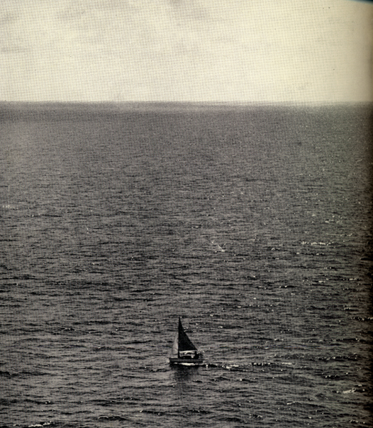 Photo of Tinkerbelle alone on a wide, wide sea