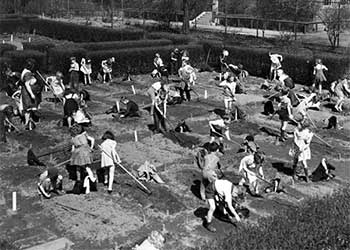 Kindergarteners at work on their victory garden plots, May 1942