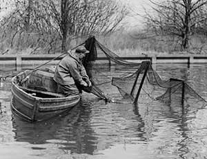 Catching fish in Mentor Lagoons