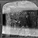 Stereoscope image