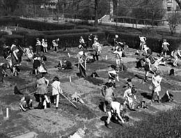 Kindergarten students at work on their victory garden
