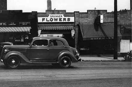 Atlantic & Pacific Tea Co., Spanner Flowers, and Hoffman's on Coventry