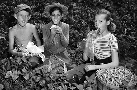 Three youngsters enjoy lunch in the garden, 1948