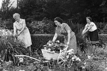 Three women gardening, 1947