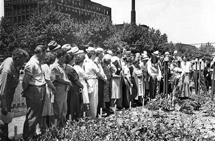 Mrs. Bee Taylor in the Mall Victory Garden in downtown Cleveland, ca. 1940s